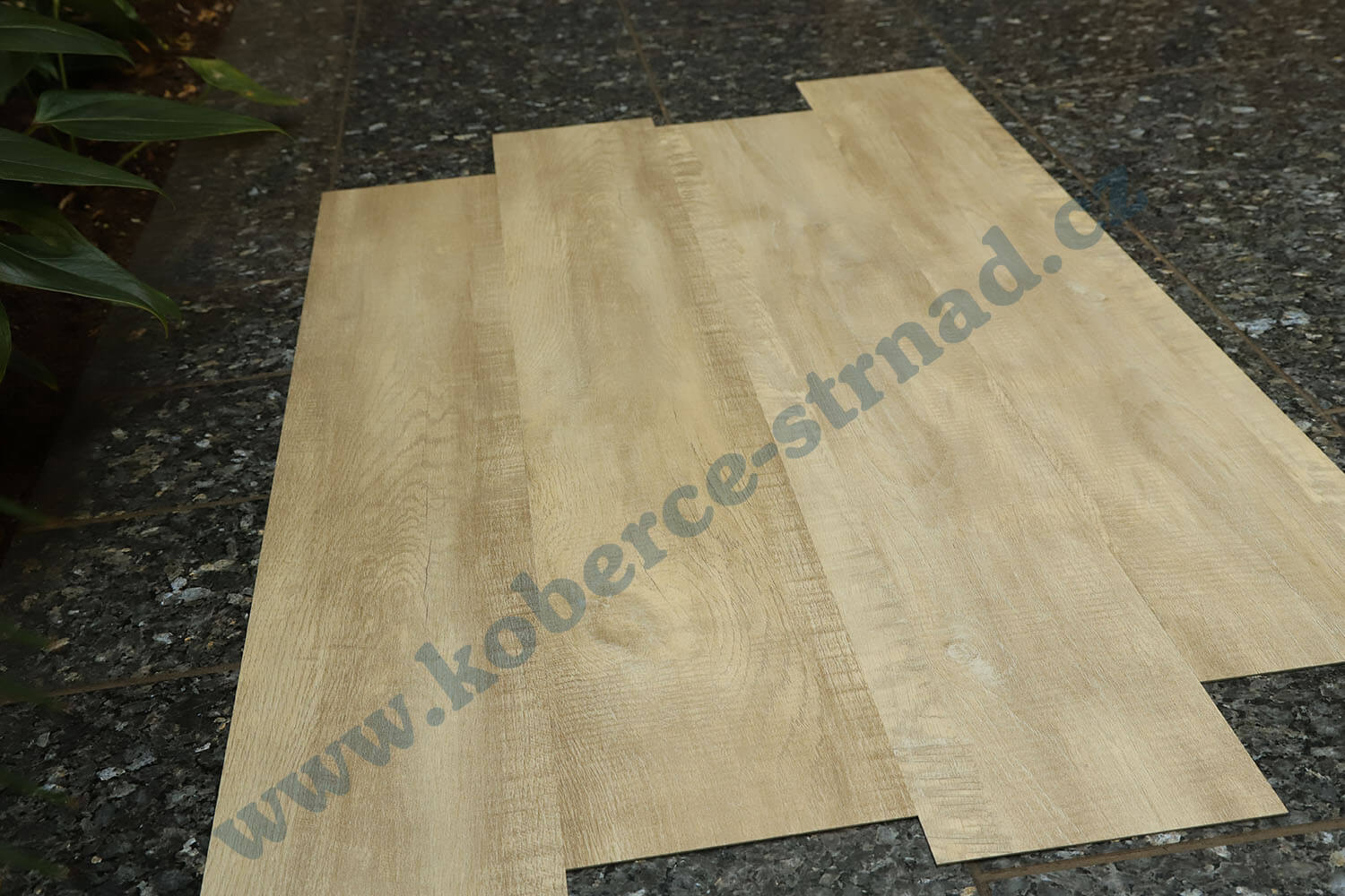 Imperio 29501-1 Dub alžírský