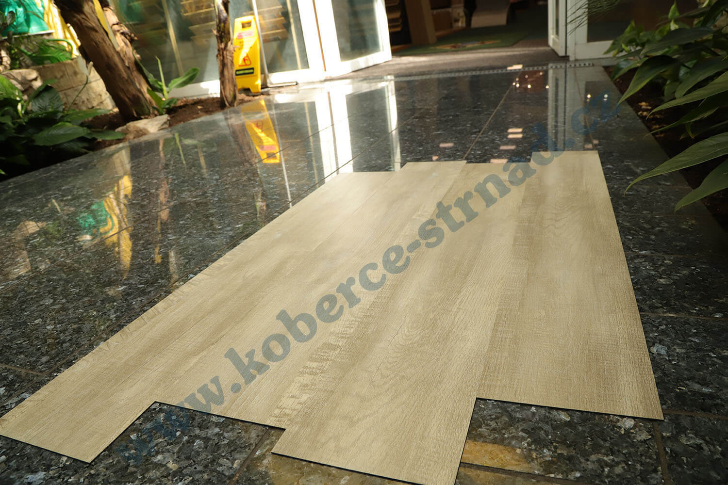 Imperio 29501-1 Dub alžírský