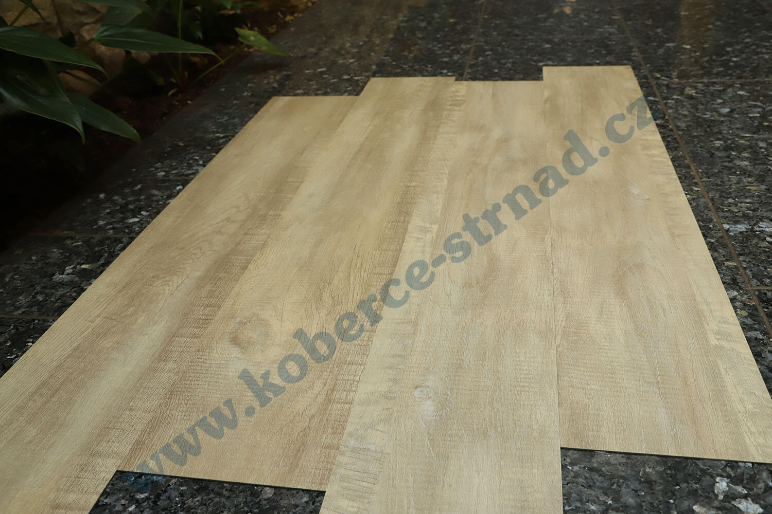 Imperio 29501-1 Dub alžírský