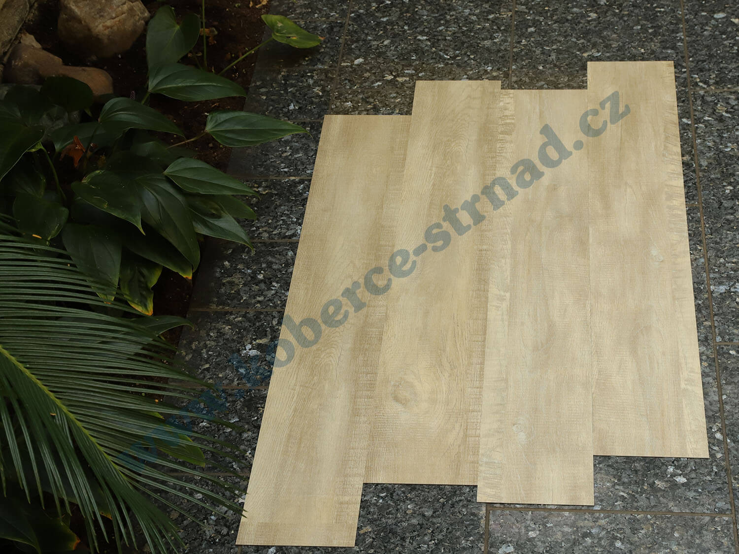 Imperio 29501-1 Dub alžírský