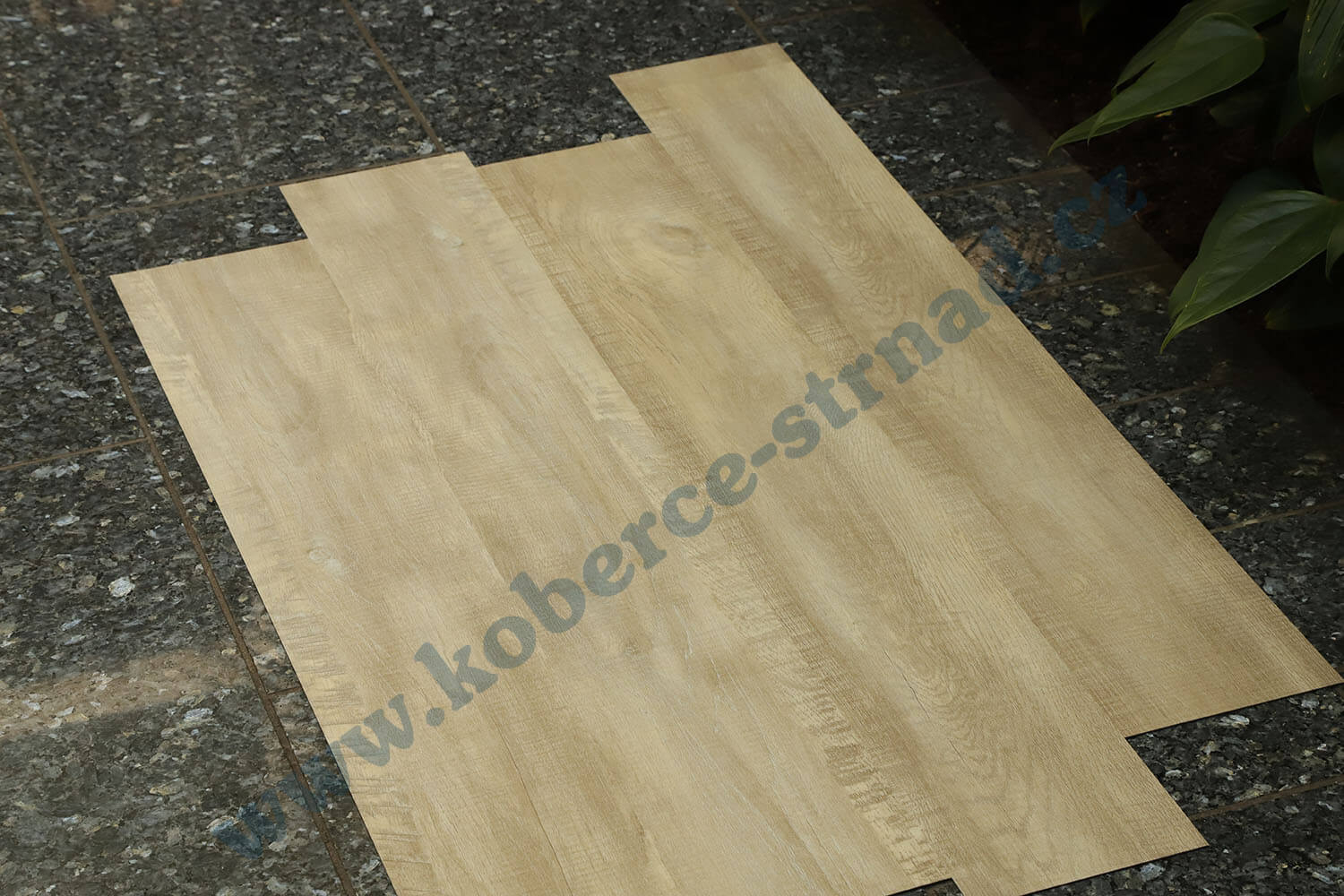 Imperio 29501-1 Dub alžírský