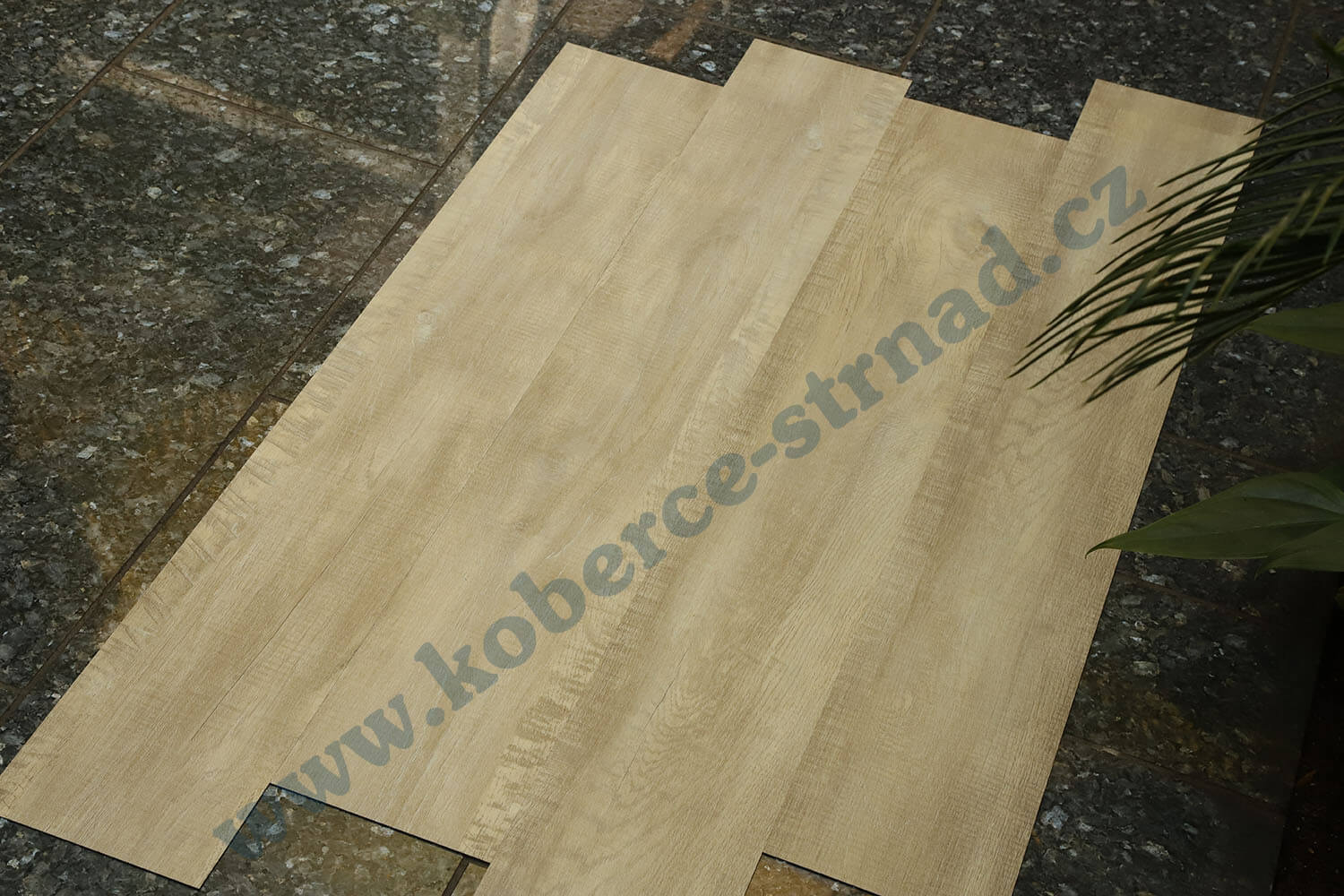 Imperio 29501-1 Dub alžírský