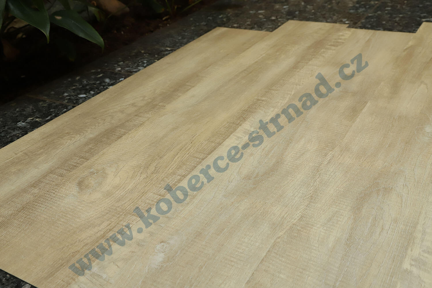 Imperio 29501-1 Dub alžírský