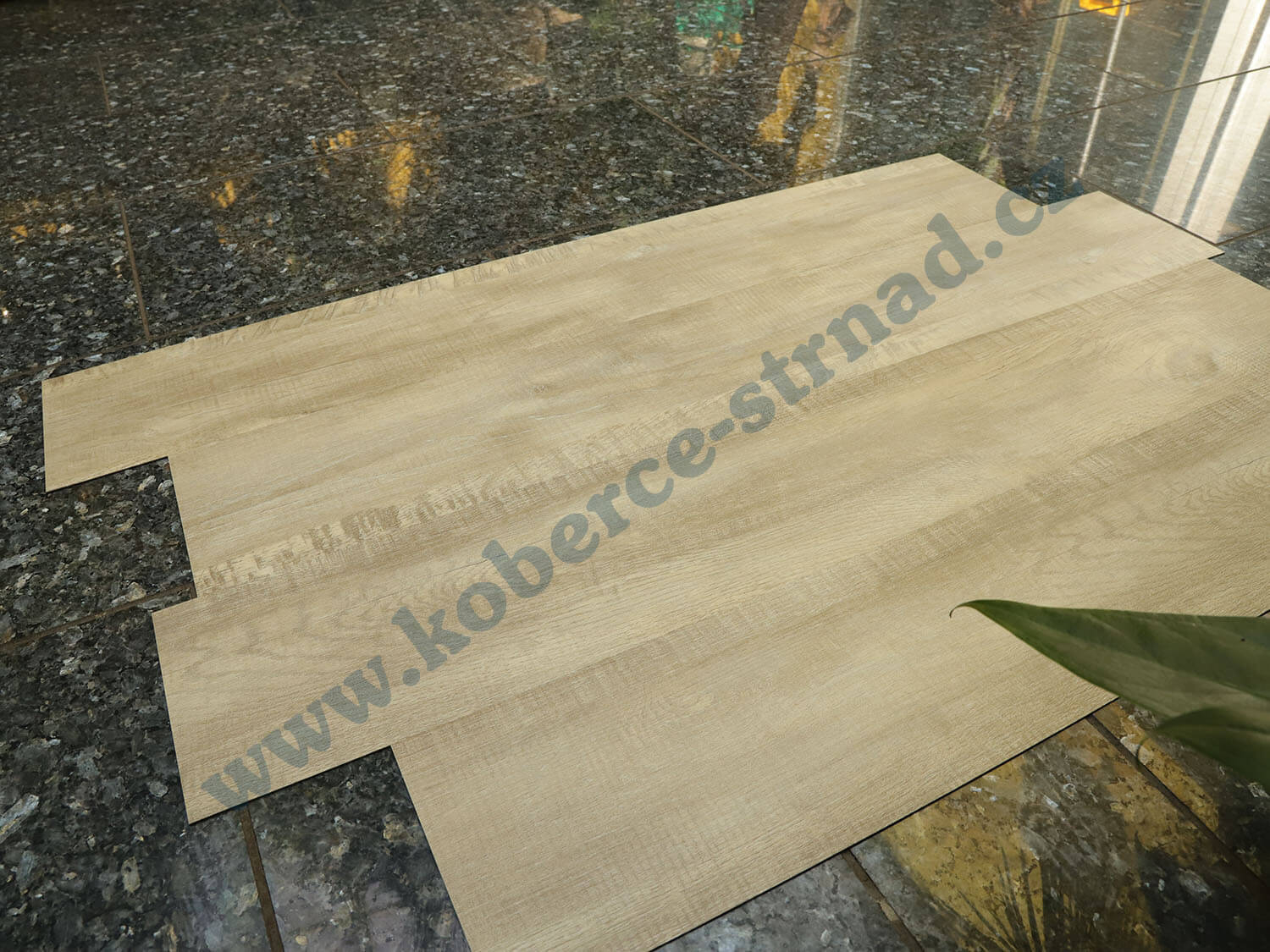 Imperio 29501-1 Dub alžírský