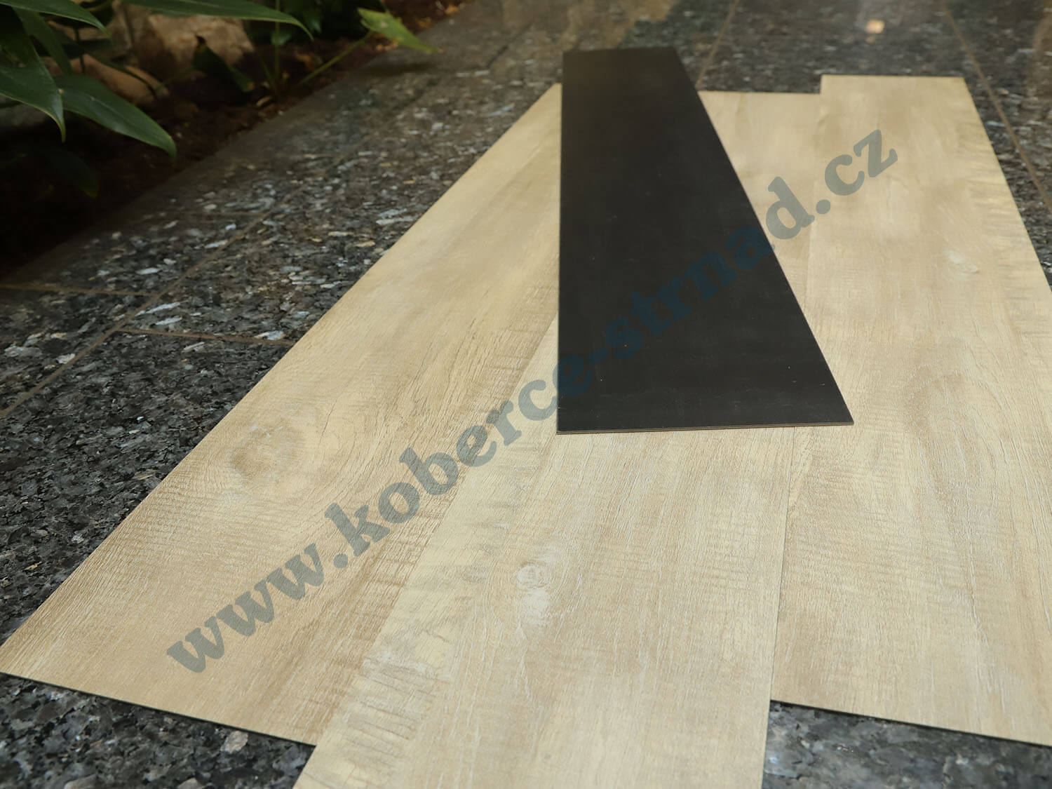 Imperio 29501-1 Dub alžírský