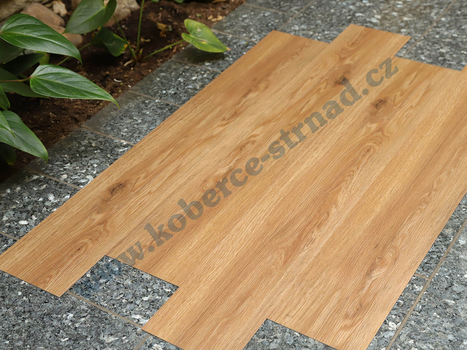 Imperio 29503-1 Dub californský