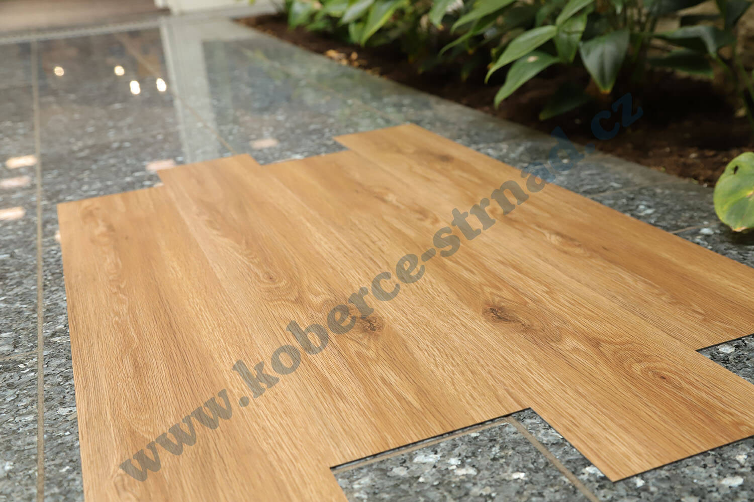 Imperio 29503-1 Dub californský