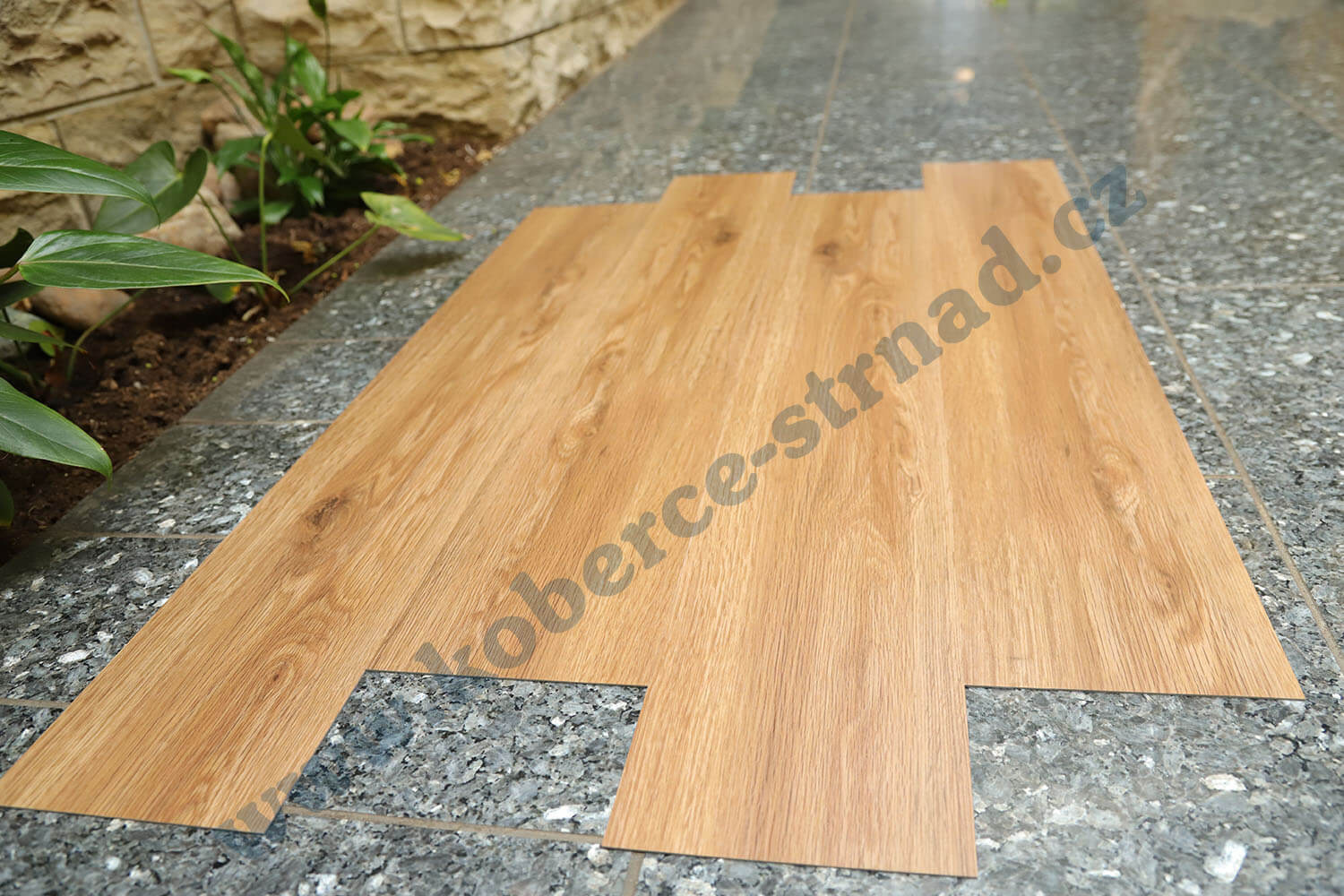 Imperio 29503-1 Dub californský