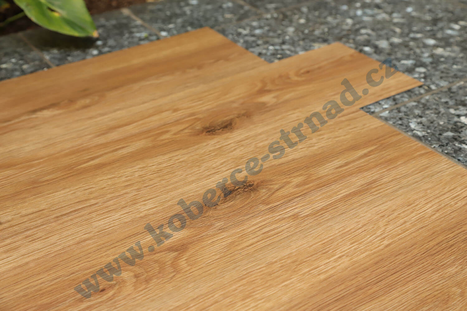 Imperio 29503-1 Dub californský