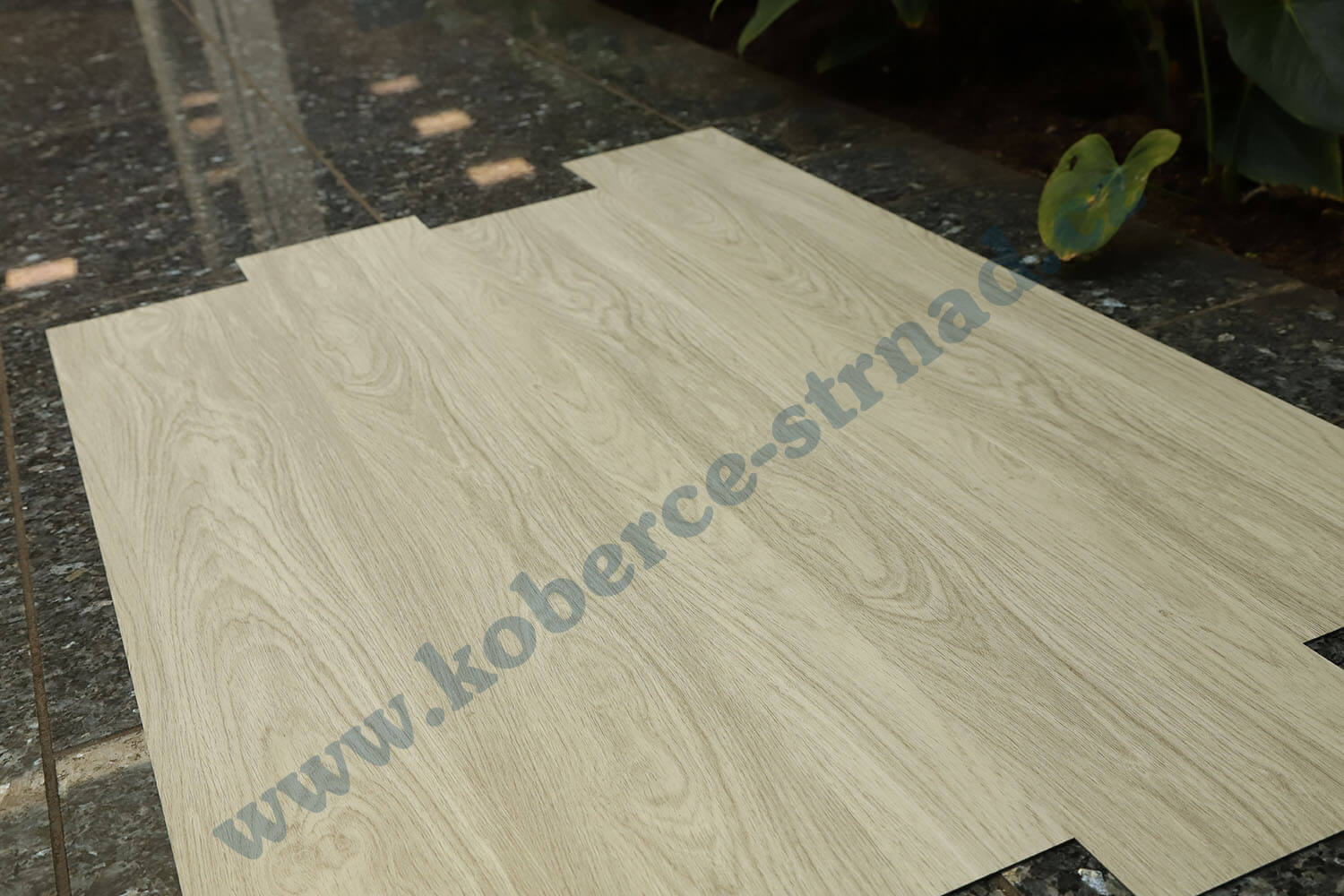 Imperio 29505-1 Kaštan korsický