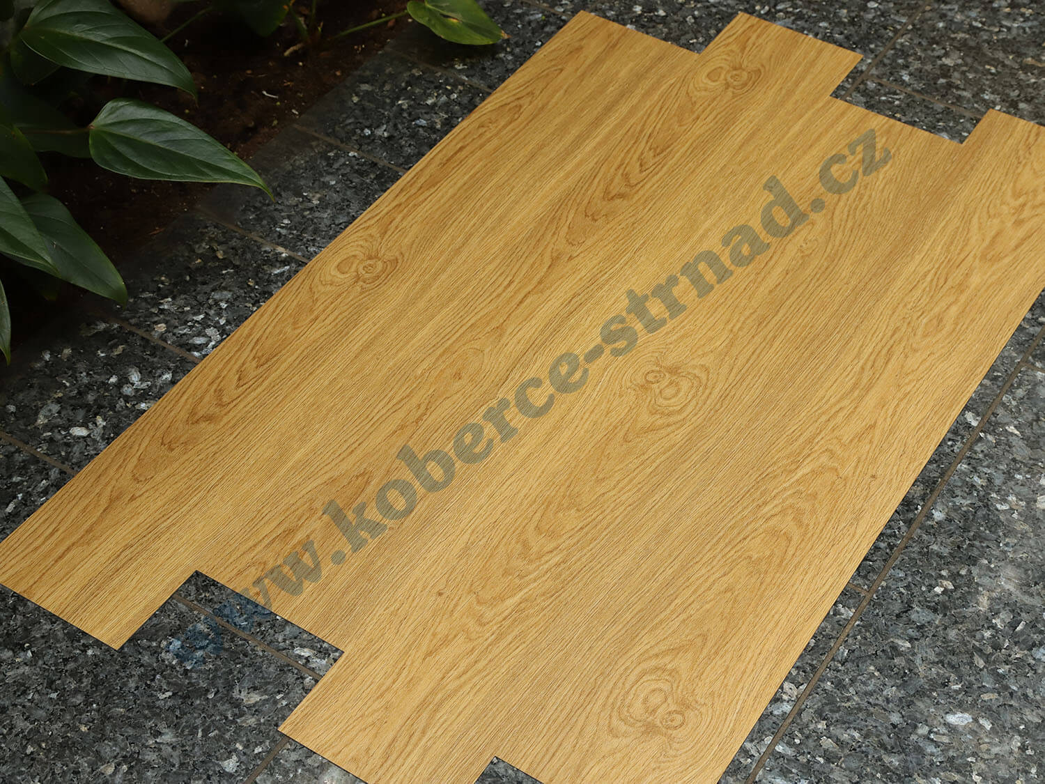 Imperio 29505-2 Dub rýnský