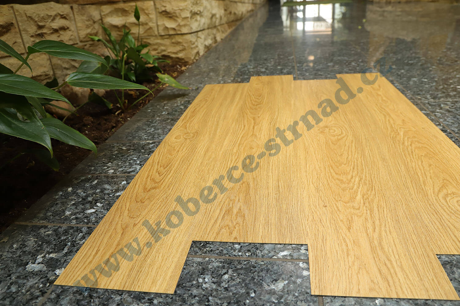 Imperio 29505-2 Dub rýnský