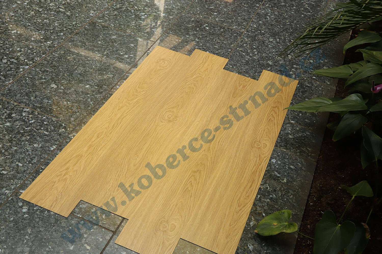 Imperio 29505-2 Dub rýnský