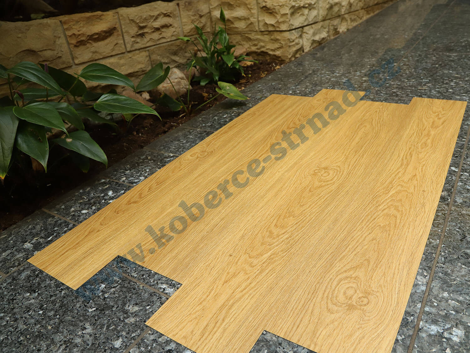 Imperio 29505-2 Dub rýnský