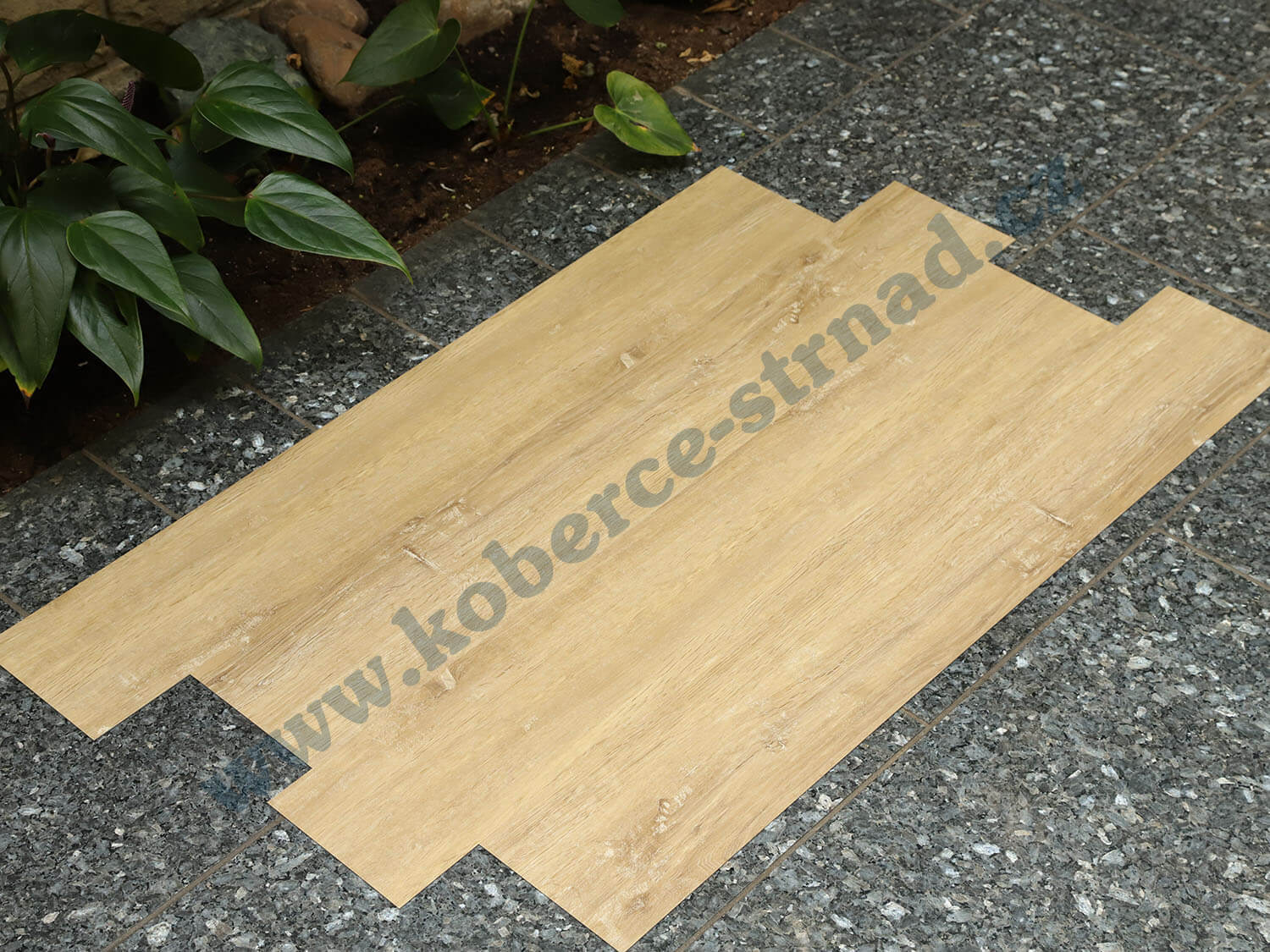 Imperio 29507-1 Dub rakouský