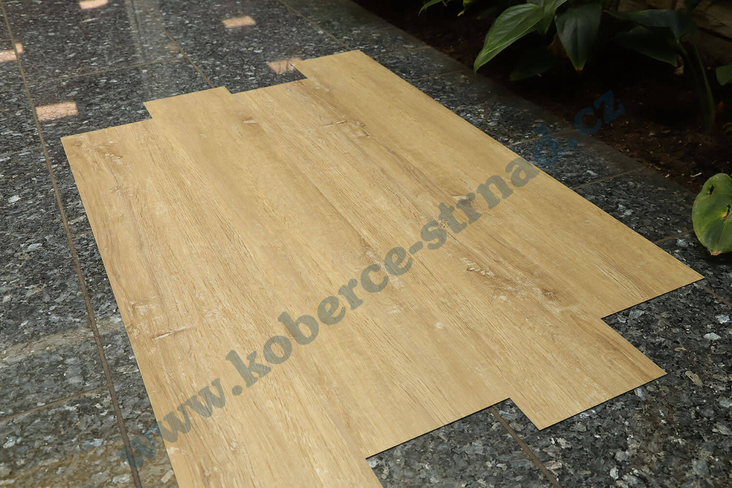 Imperio 29507-1 Dub rakouský