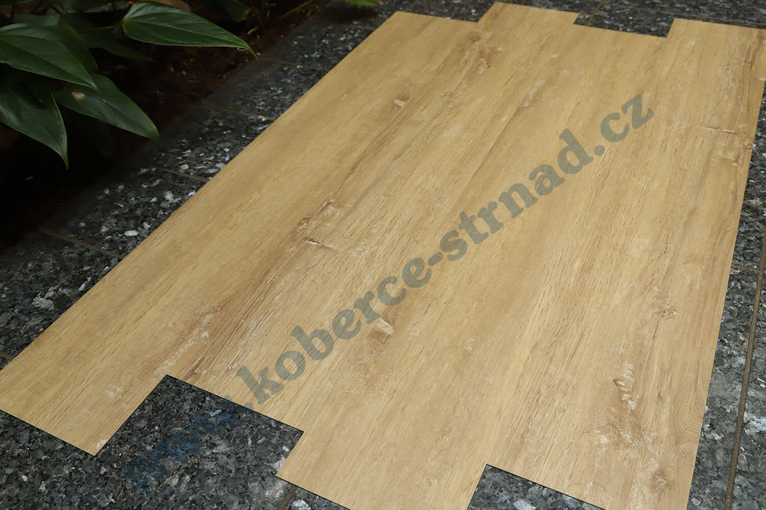 Imperio 29507-1 Dub rakouský