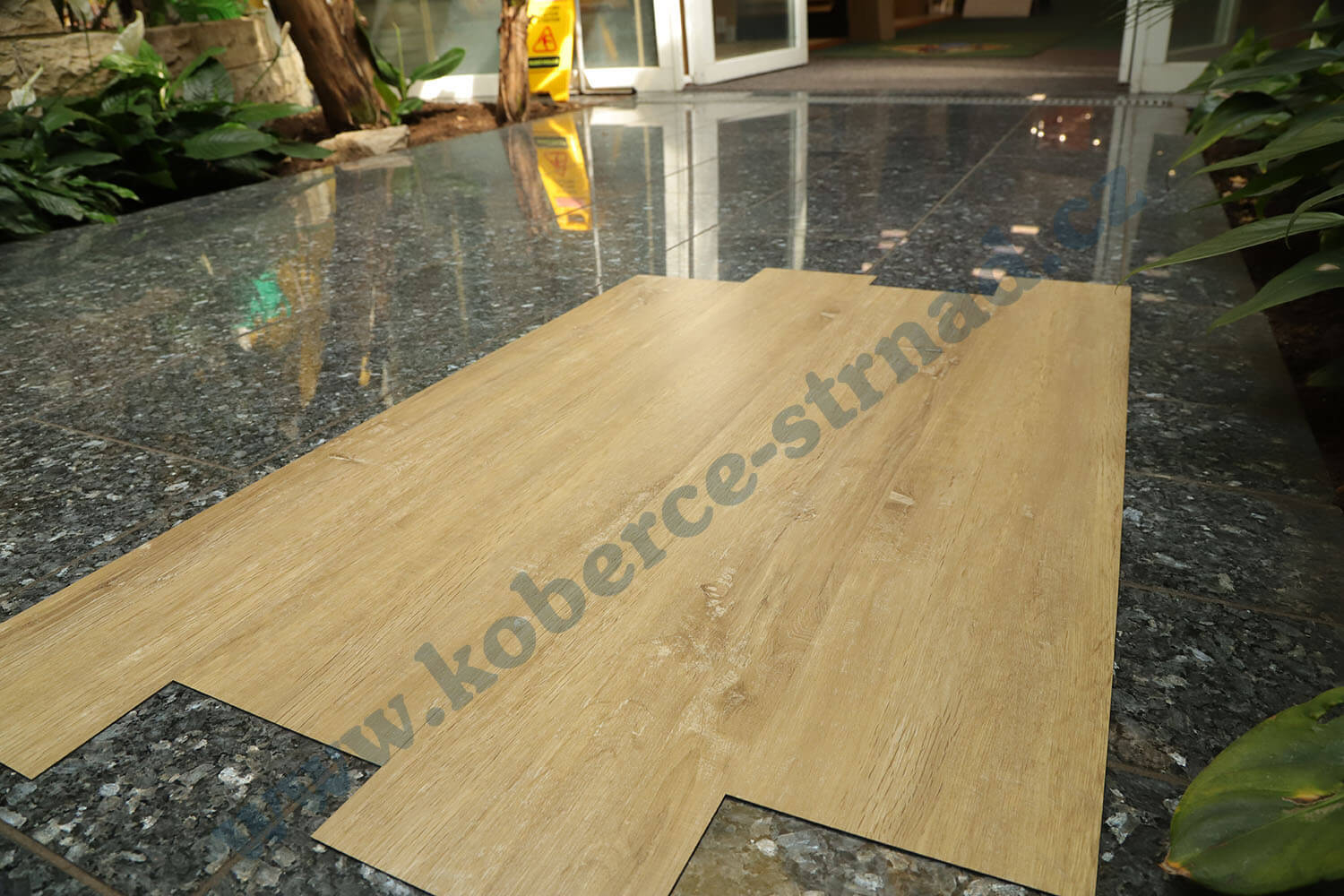 Imperio 29507-1 Dub rakouský