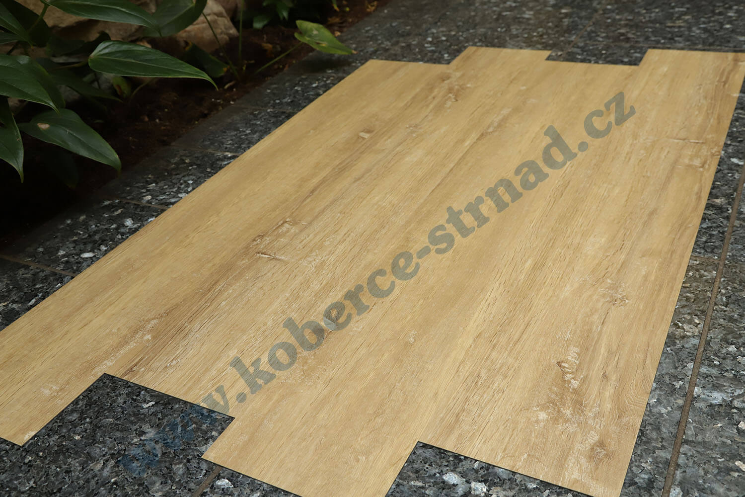 Imperio 29507-1 Dub rakouský