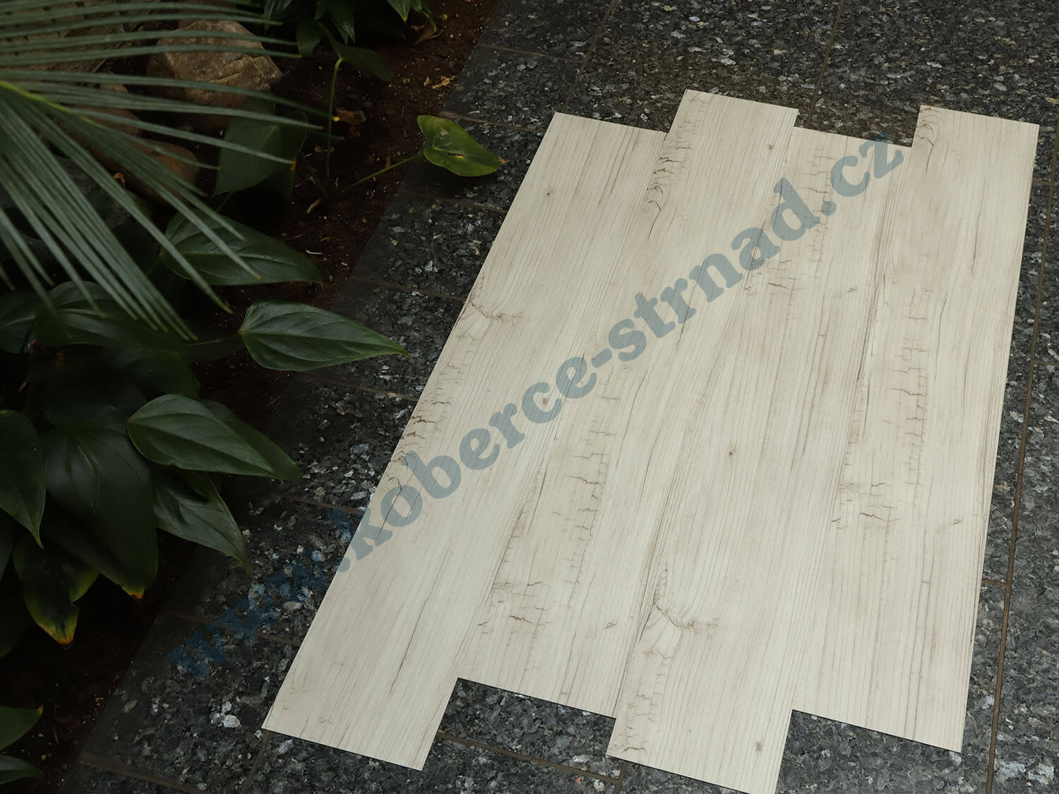 Imperio 29509-1 Borovice aljašská