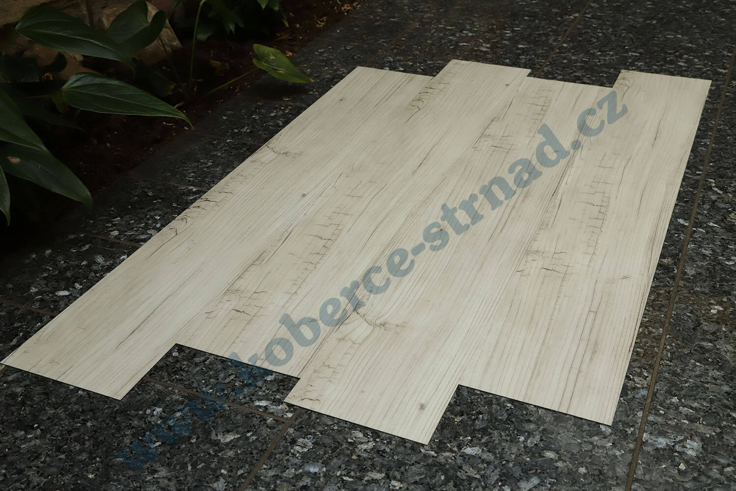 Imperio 29509-1 Borovice aljašská