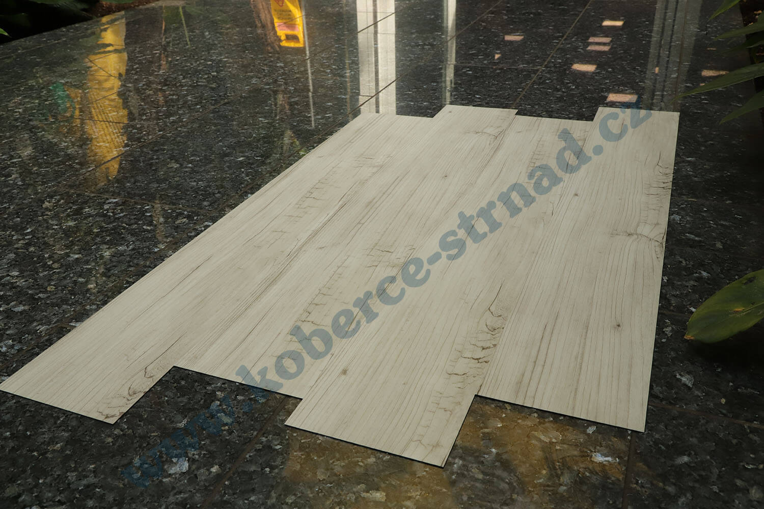 Imperio 29509-1 Borovice aljašská