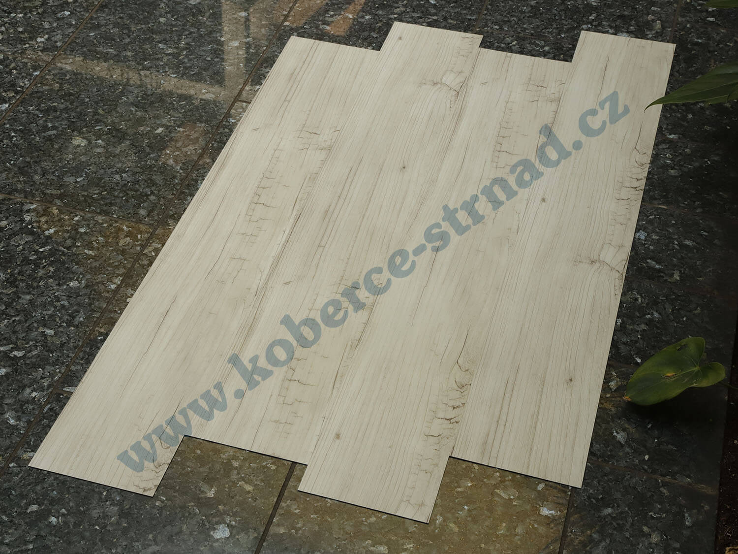 Imperio 29509-1 Borovice aljašská