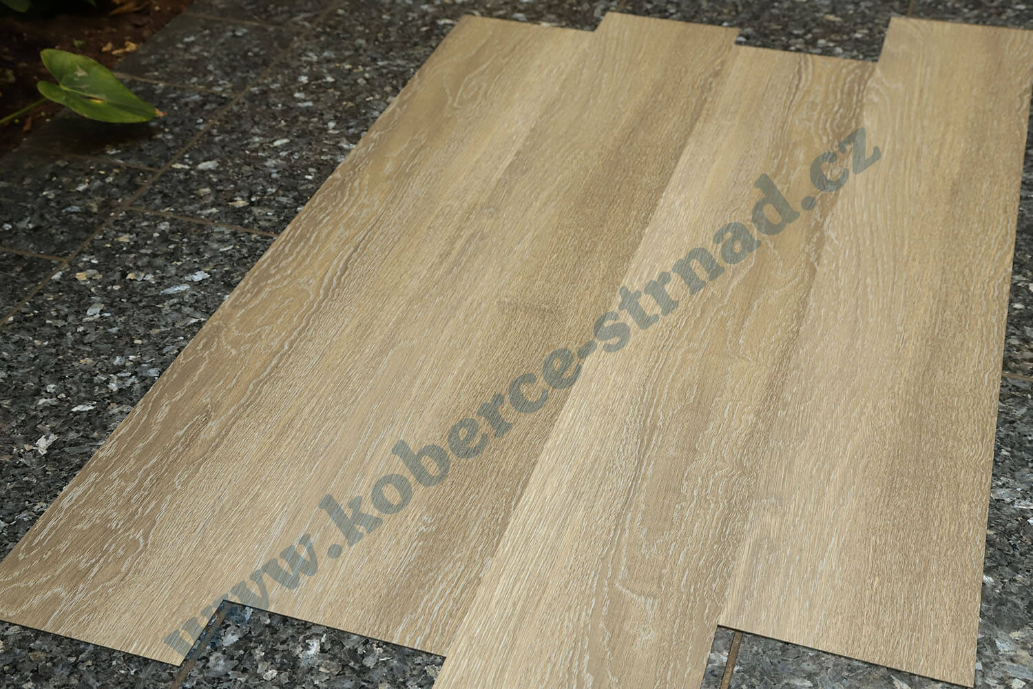 Imperio 29513-1 Dub stříbrný