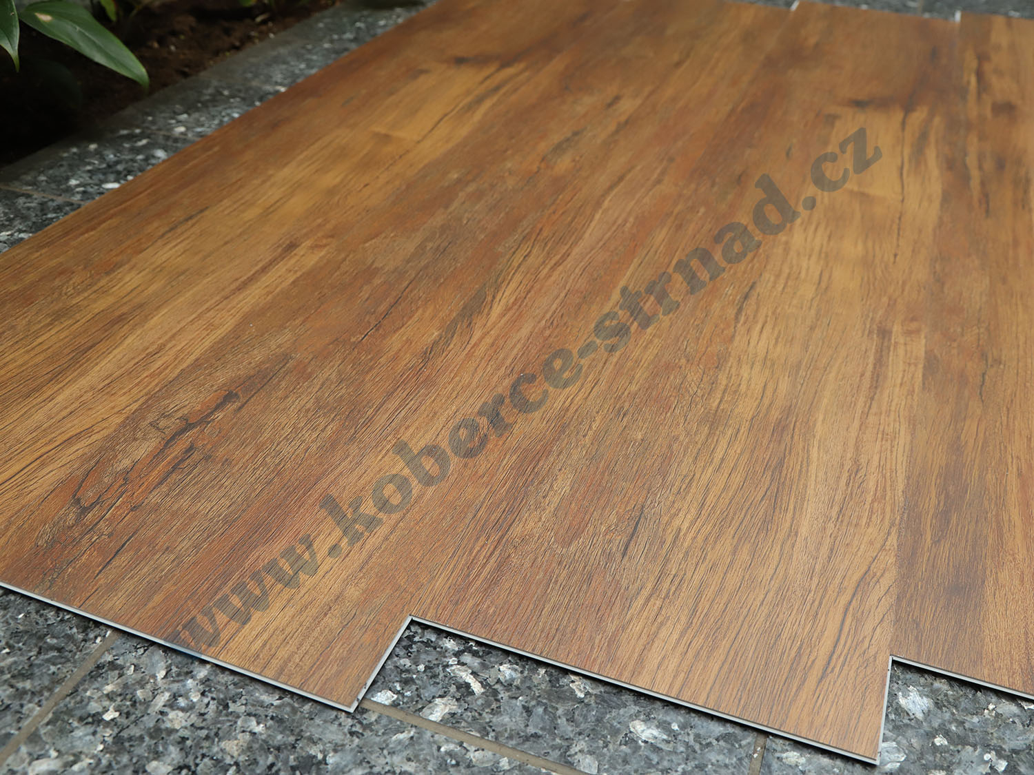 Well-click 40118-1 Ořech vlašský