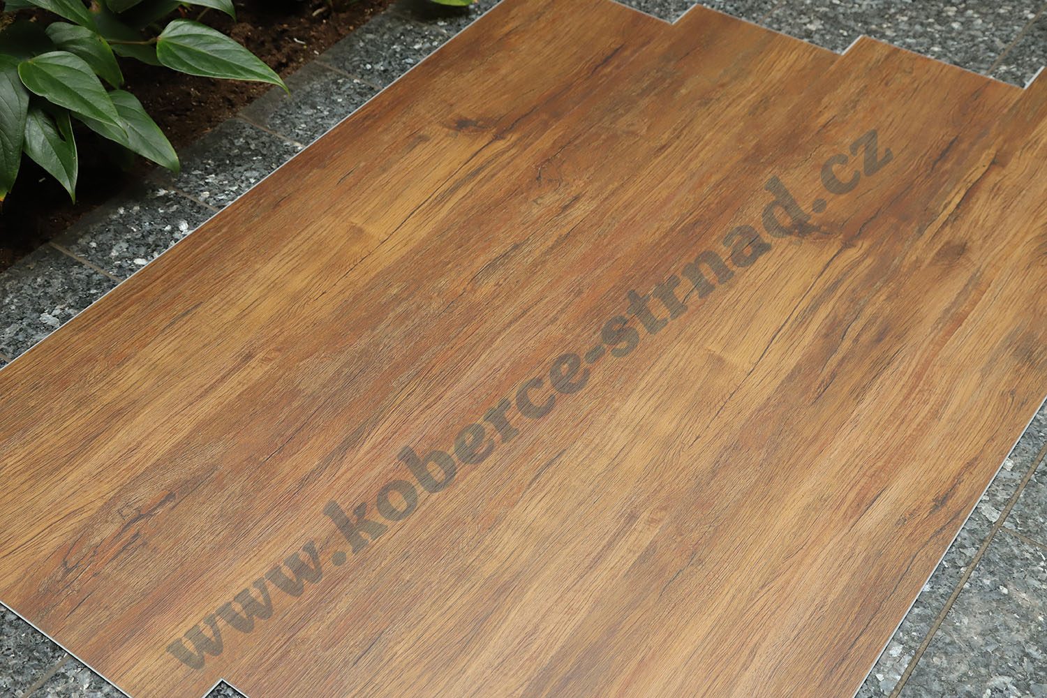 Well-click 40118-1 Ořech vlašský