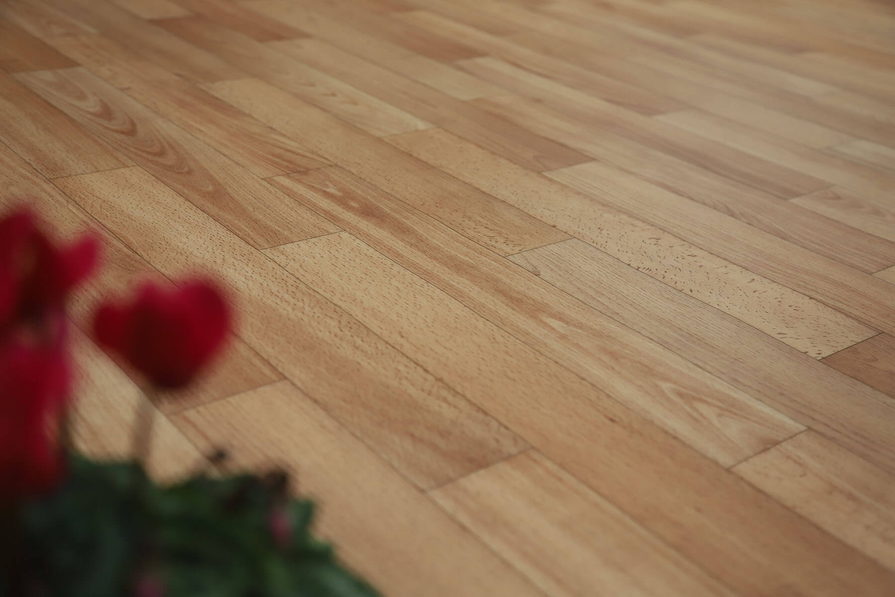 Xtreme Natural Beech 416M