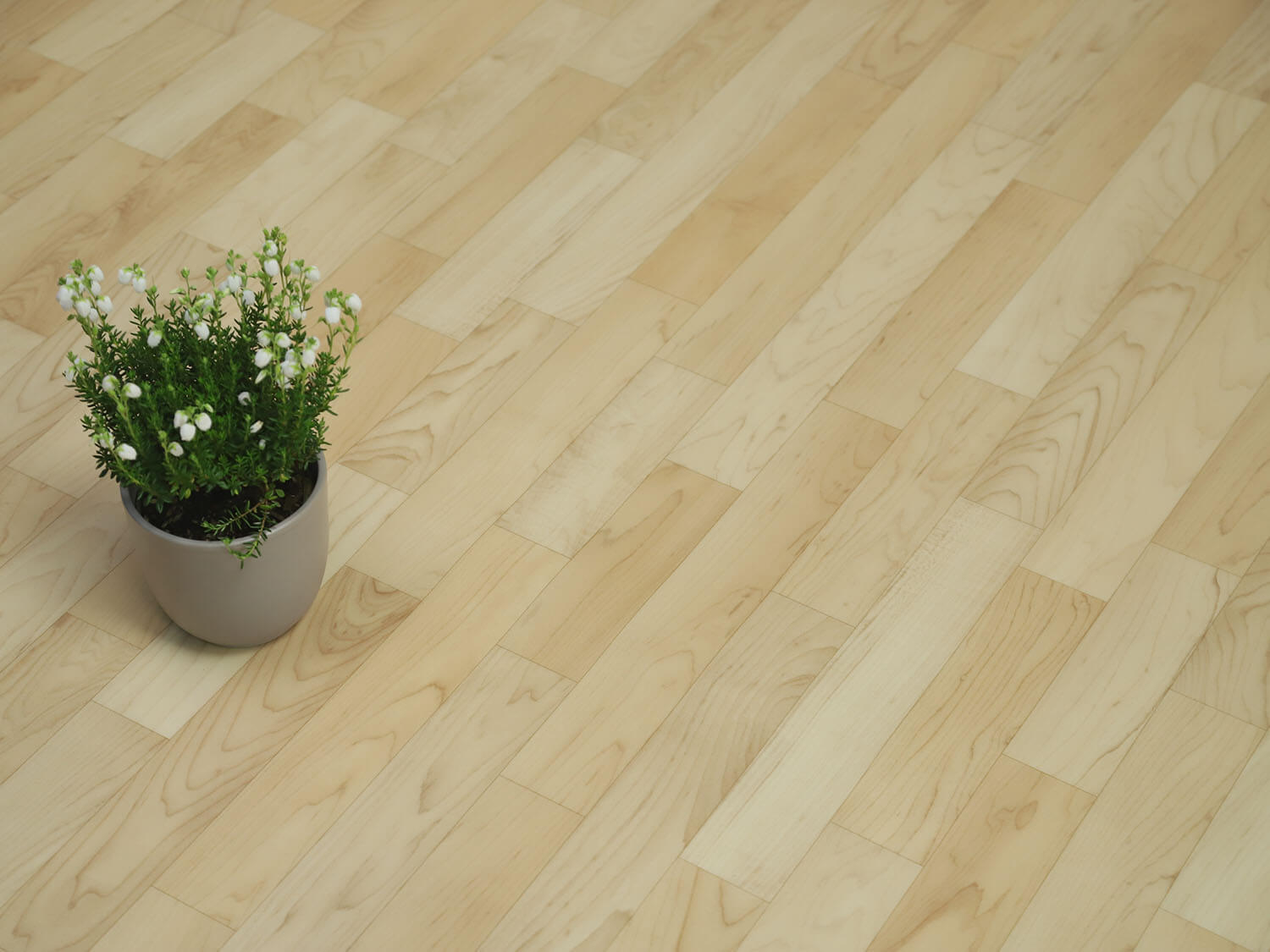 Xtreme Maple Plank 600S