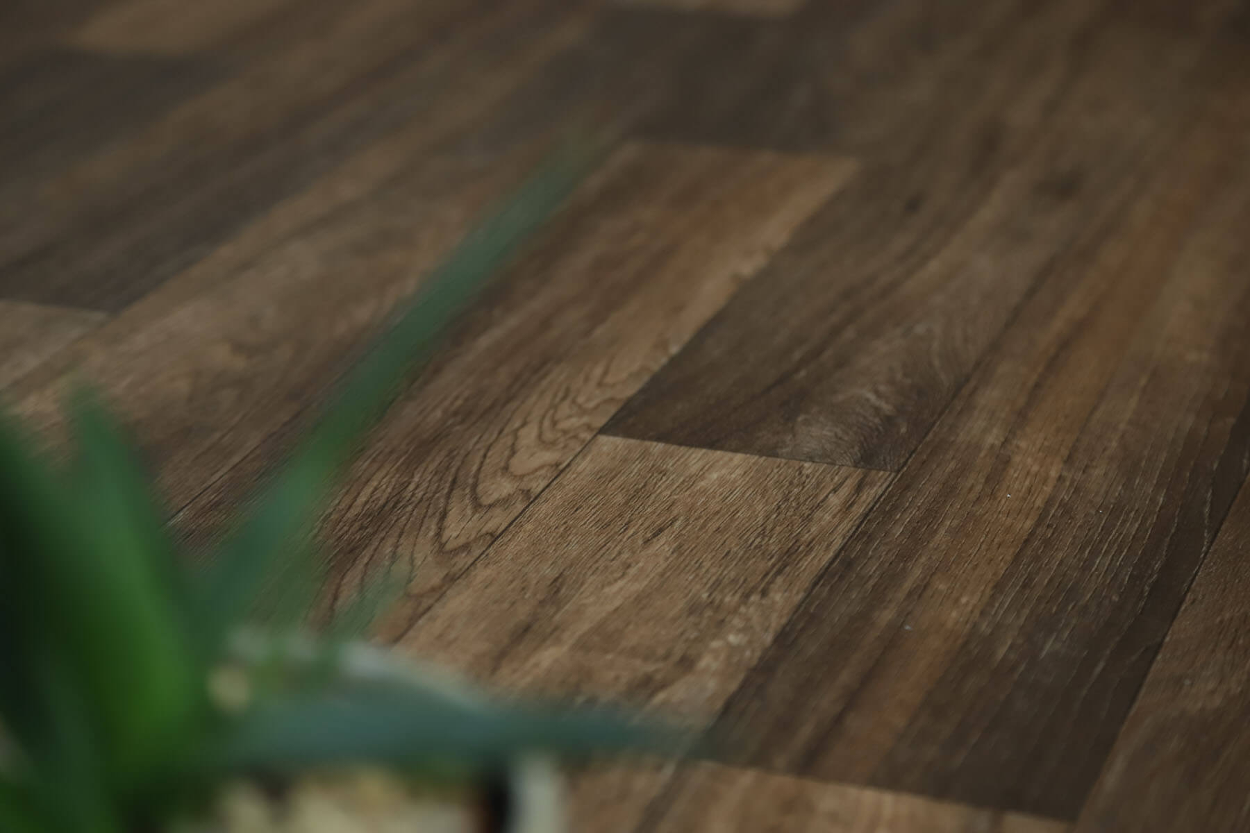 Xtreme Natural Oak 369M