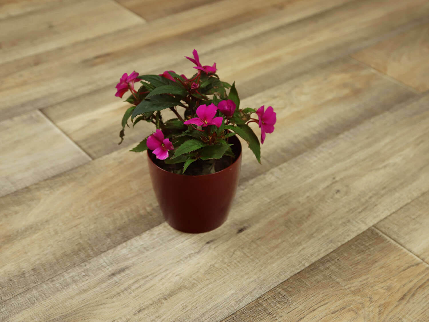 Woodline Cartier W36