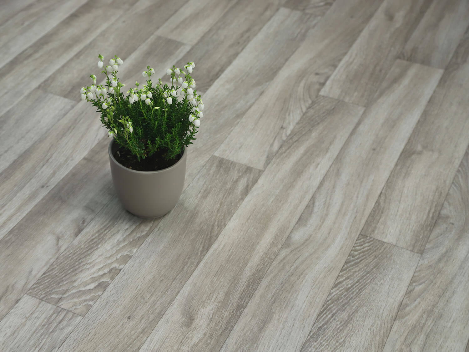 Xtreme Golden Oak 696L