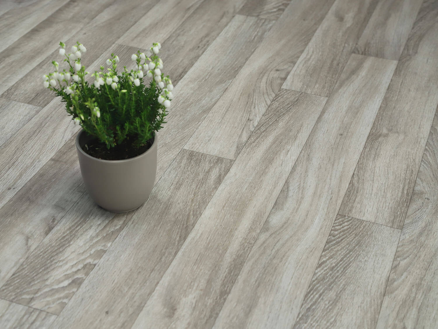 Xtreme Golden Oak 696L