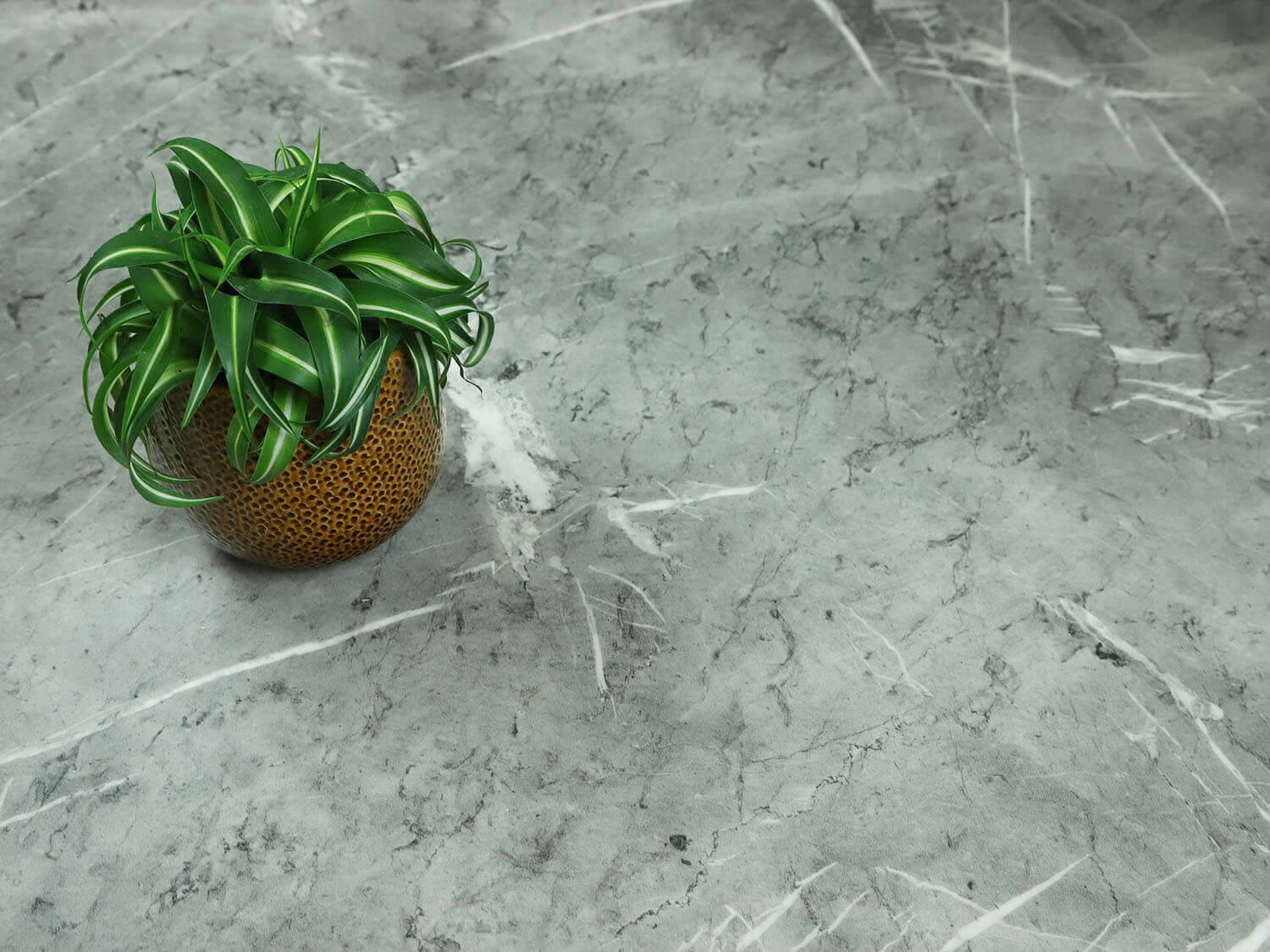 Woodline Celeste T95