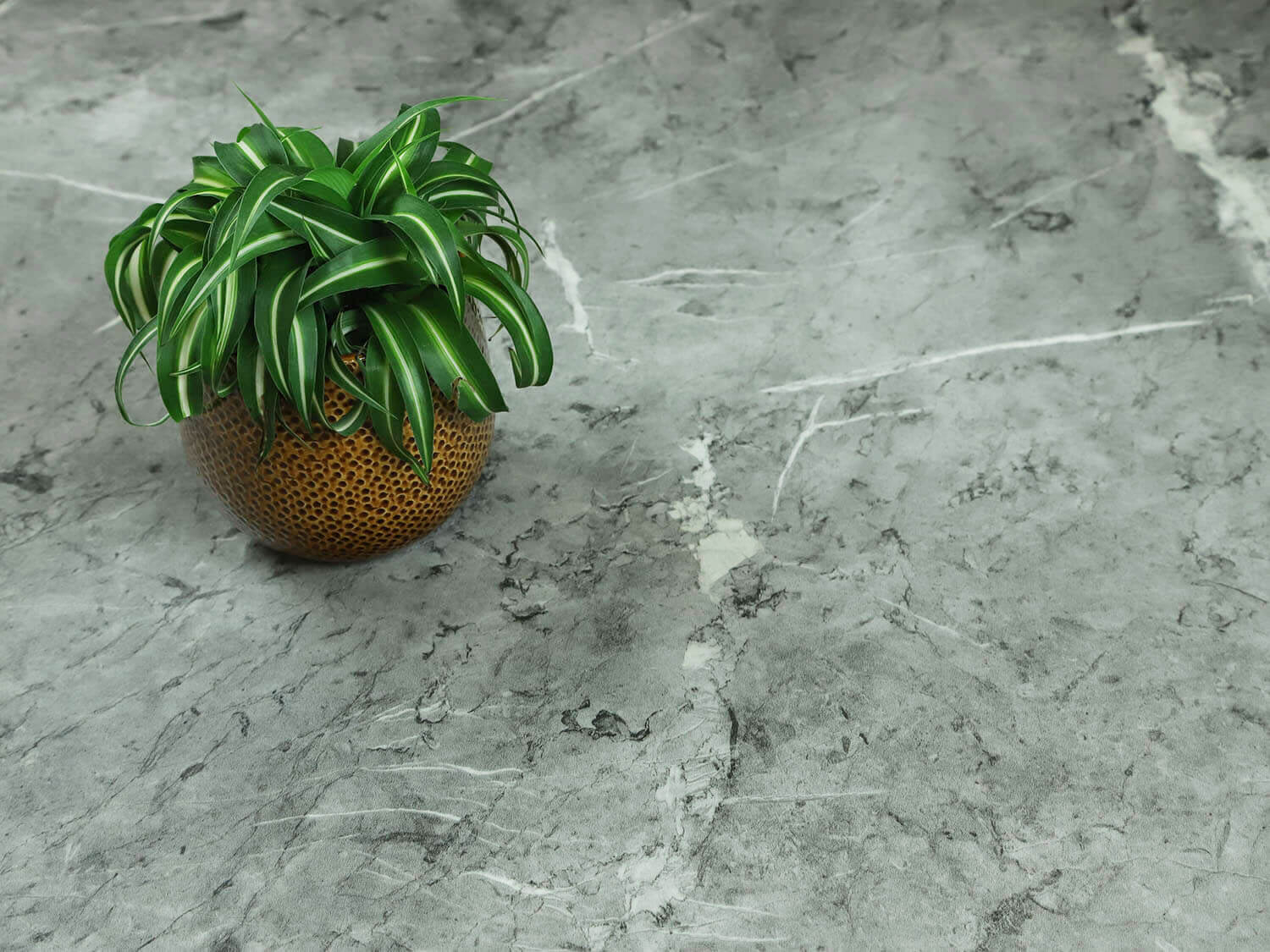 Woodline Celeste T95