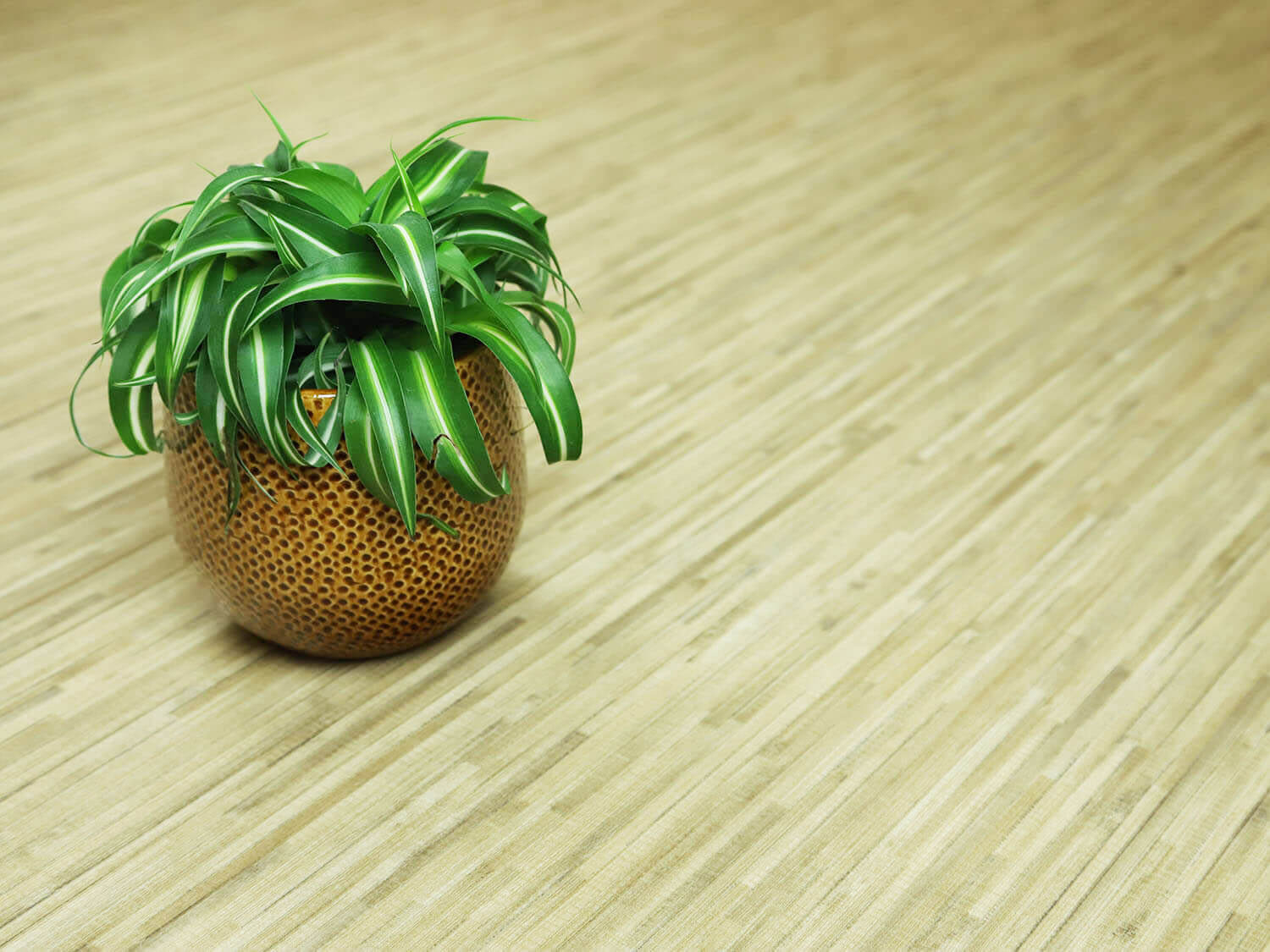 Woodline Wander 2534