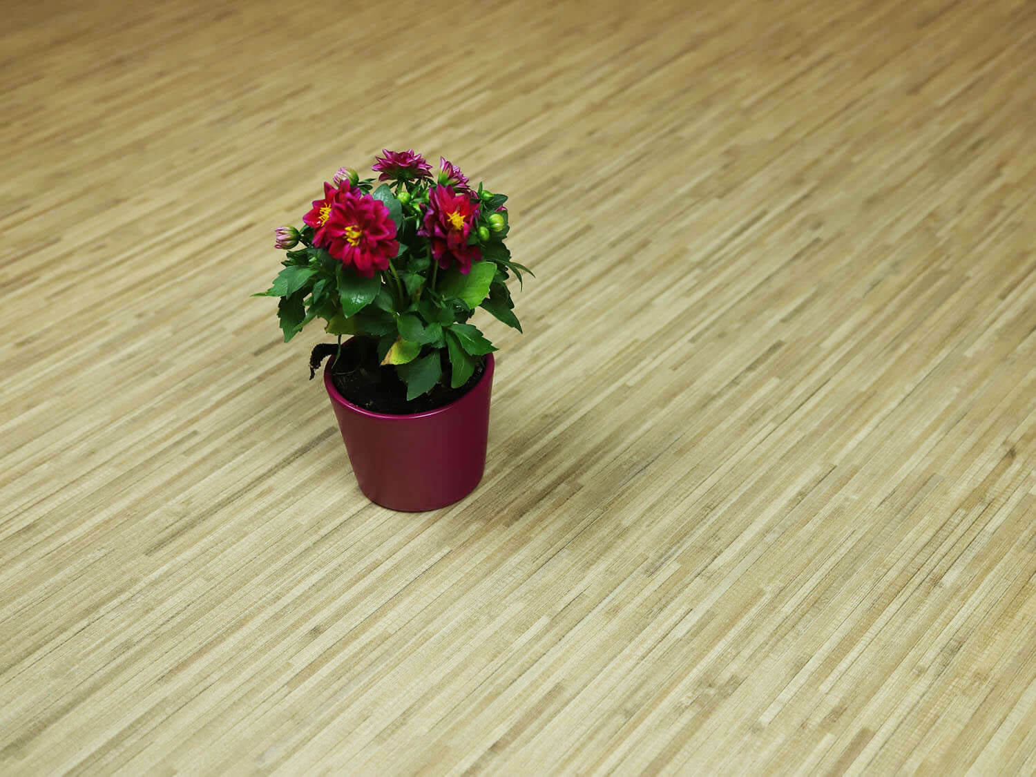 Woodline Wander 2534