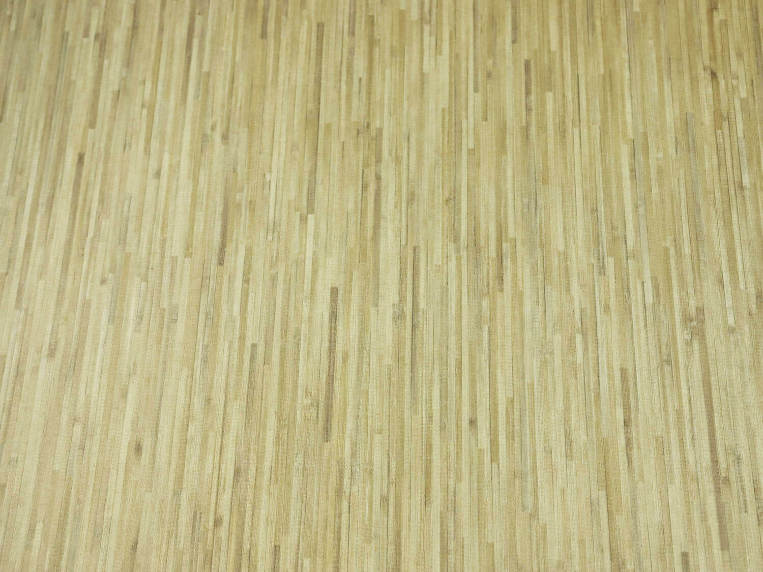 Woodline Wander 2534