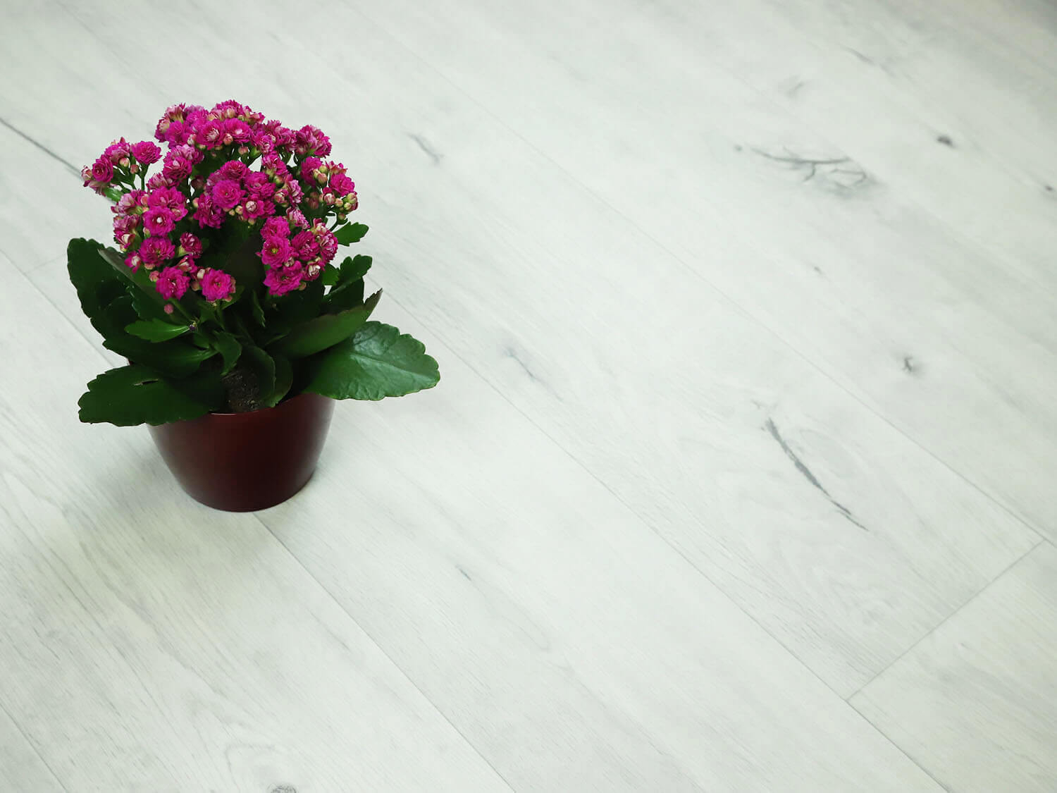 Textra Annapurna 2506