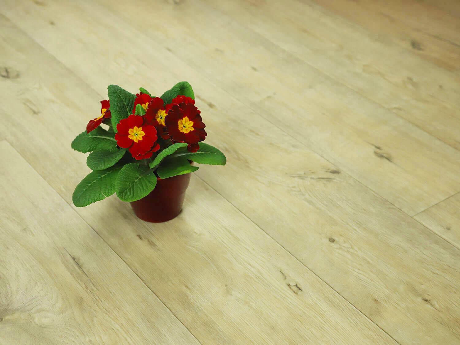 Textra Annapurna 3532