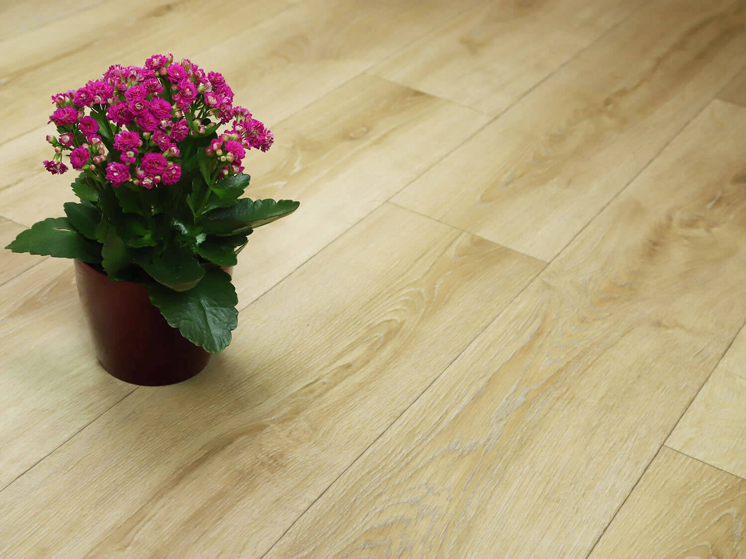 Textra Cherbourg T32