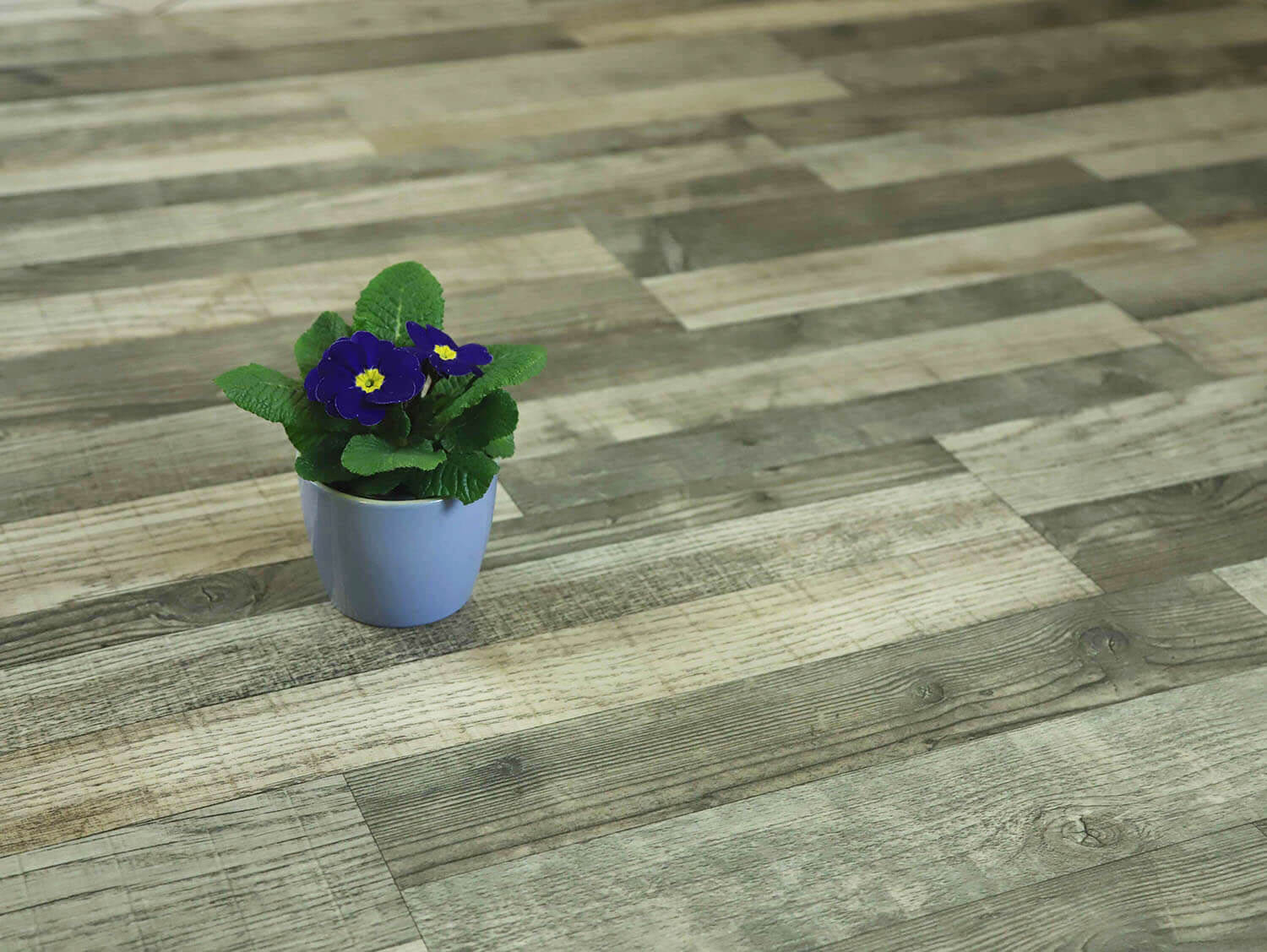 Woodmark Scentwood 585