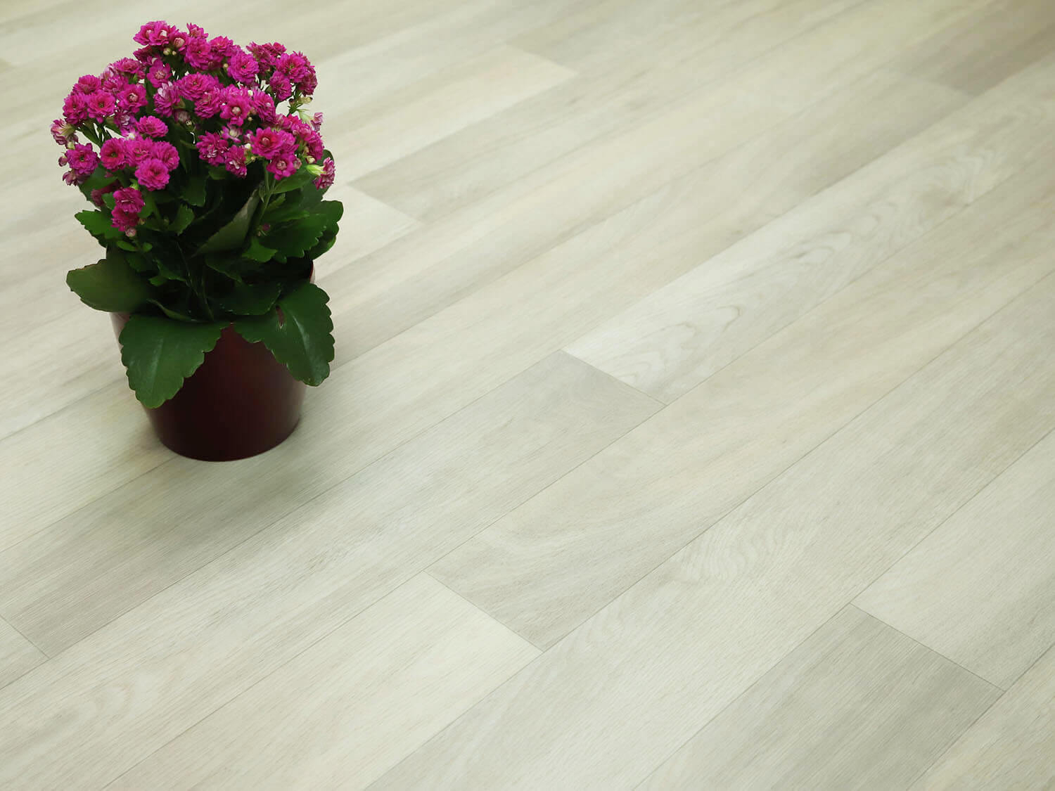 Centaur Natural Oak 160S