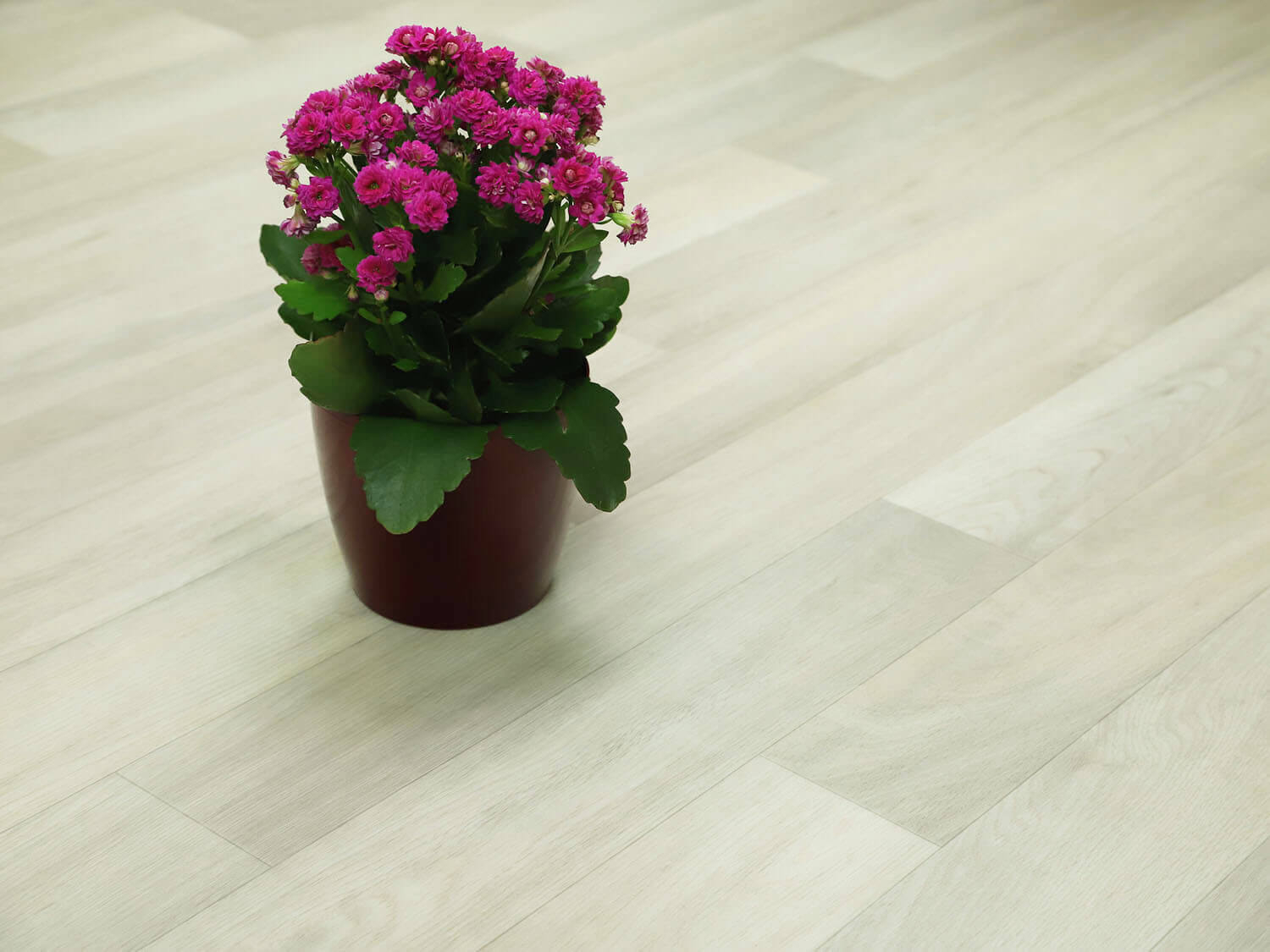 Centaur Natural Oak 160S