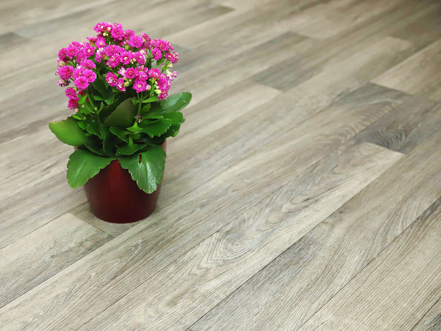 Centaur Natural Oak 994D