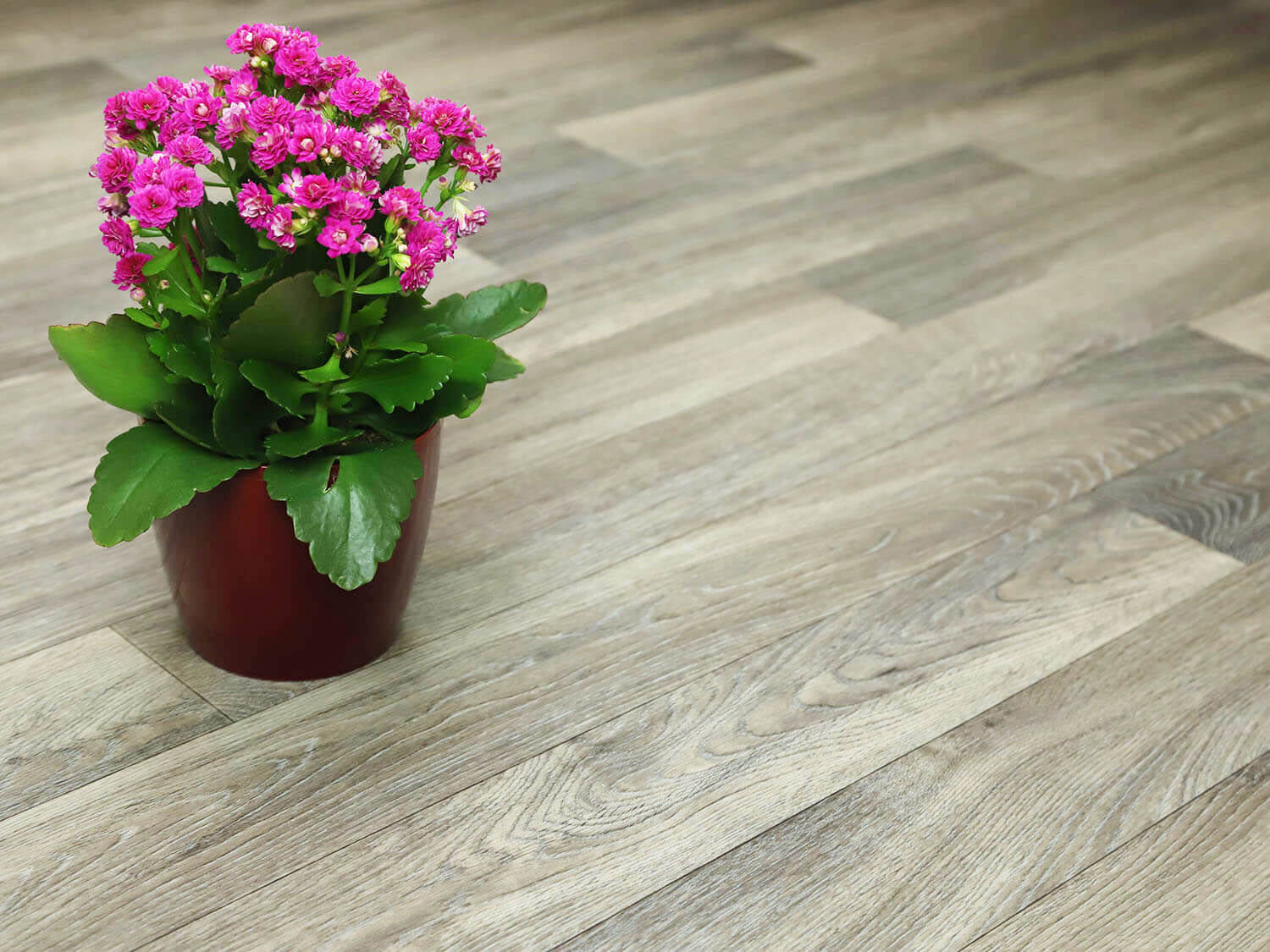 Centaur Natural Oak 994D