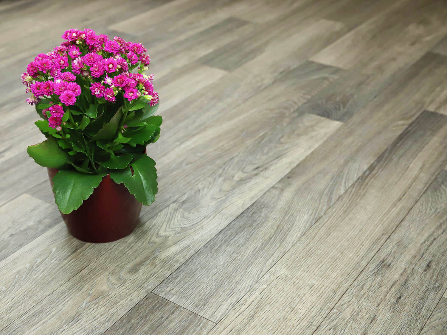 Centaur Natural Oak 994D